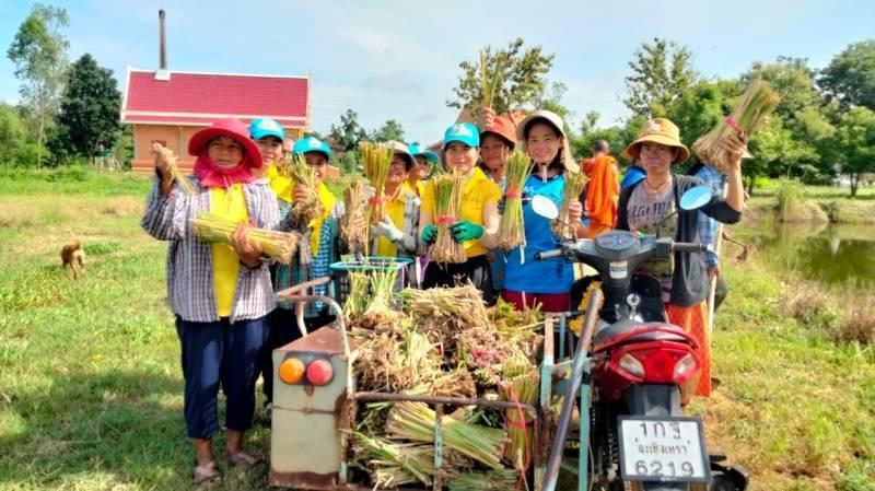 ภาพประกอบที่ 4