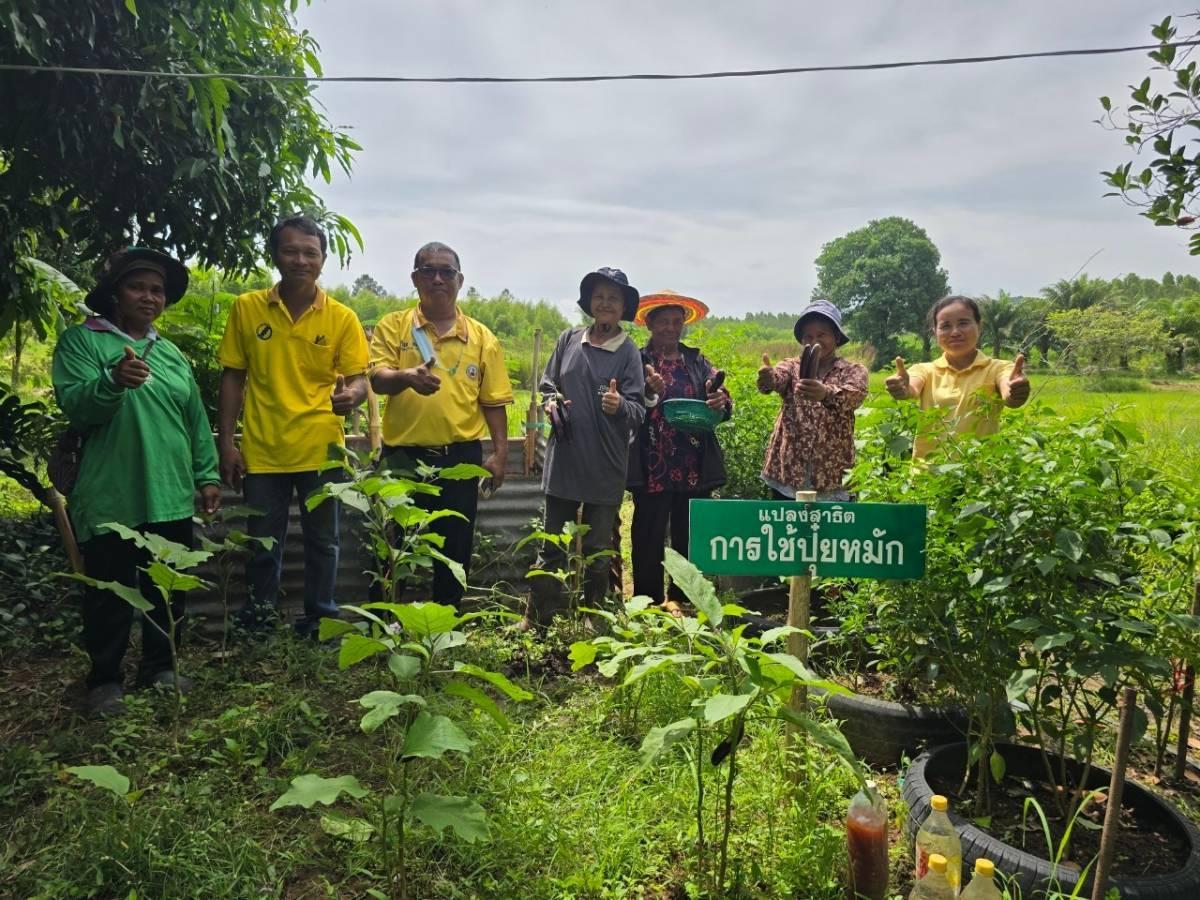 ภาพประกอบที่ 3