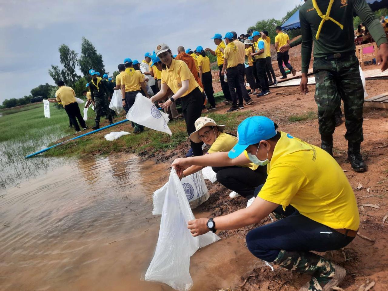 ภาพประกอบที่ 4