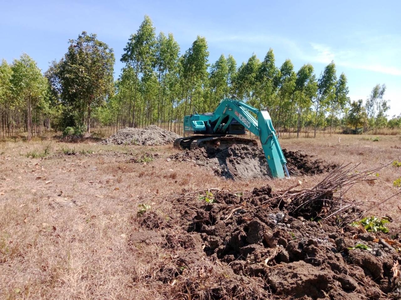 ภาพประกอบที่ 8