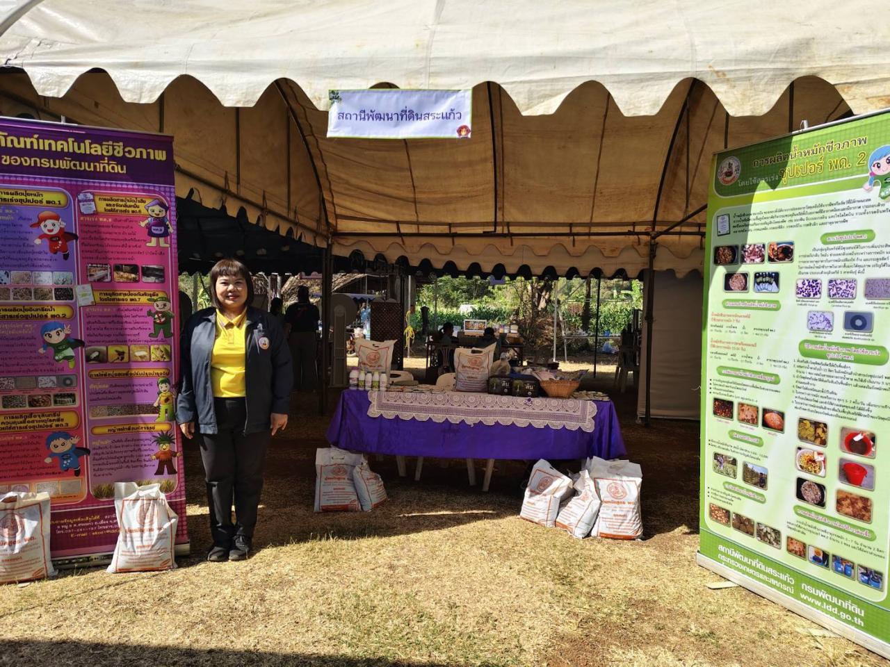 ภาพประกอบที่ 12