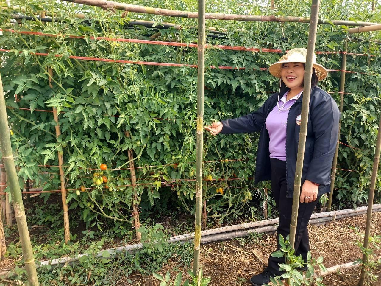 ภาพประกอบที่ 9