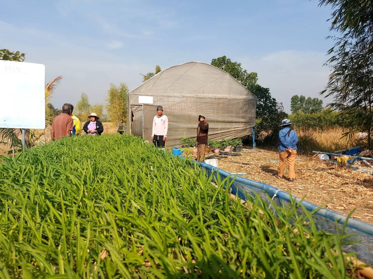 ภาพประกอบที่ 11