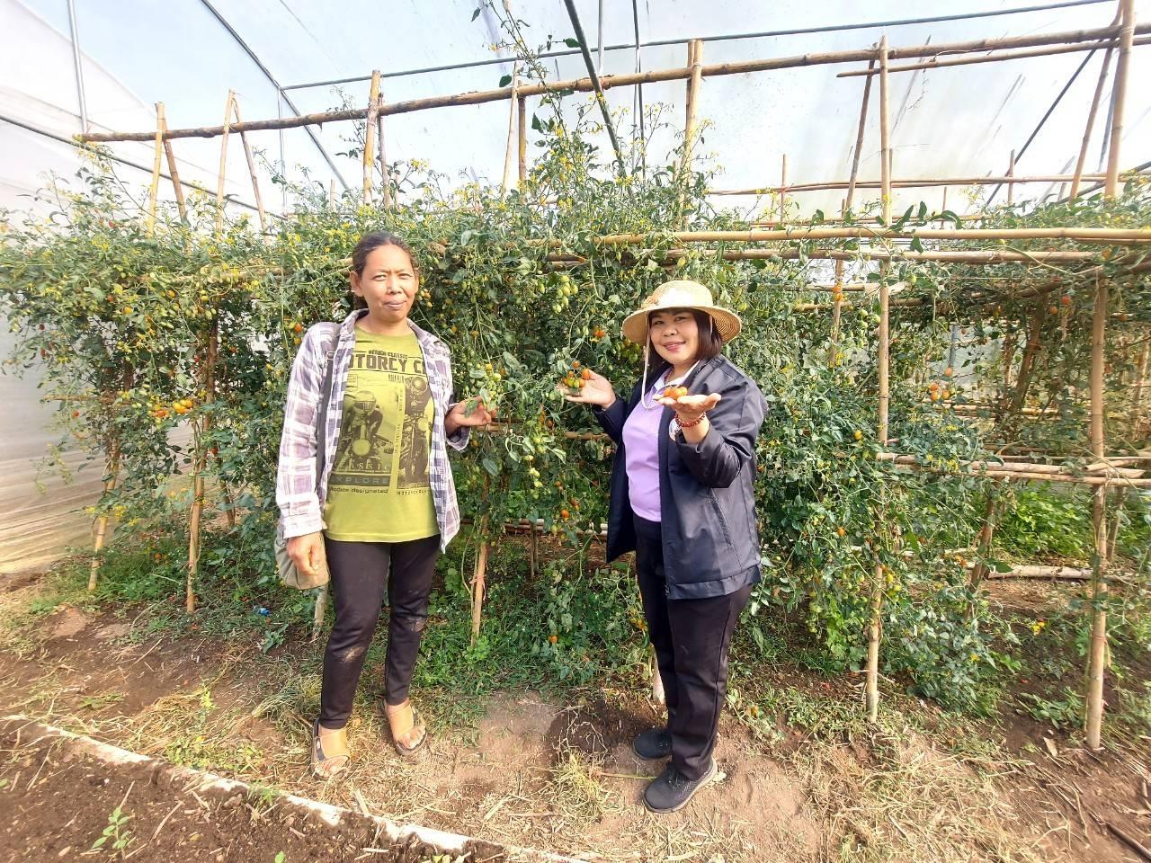 ภาพประกอบที่ 12