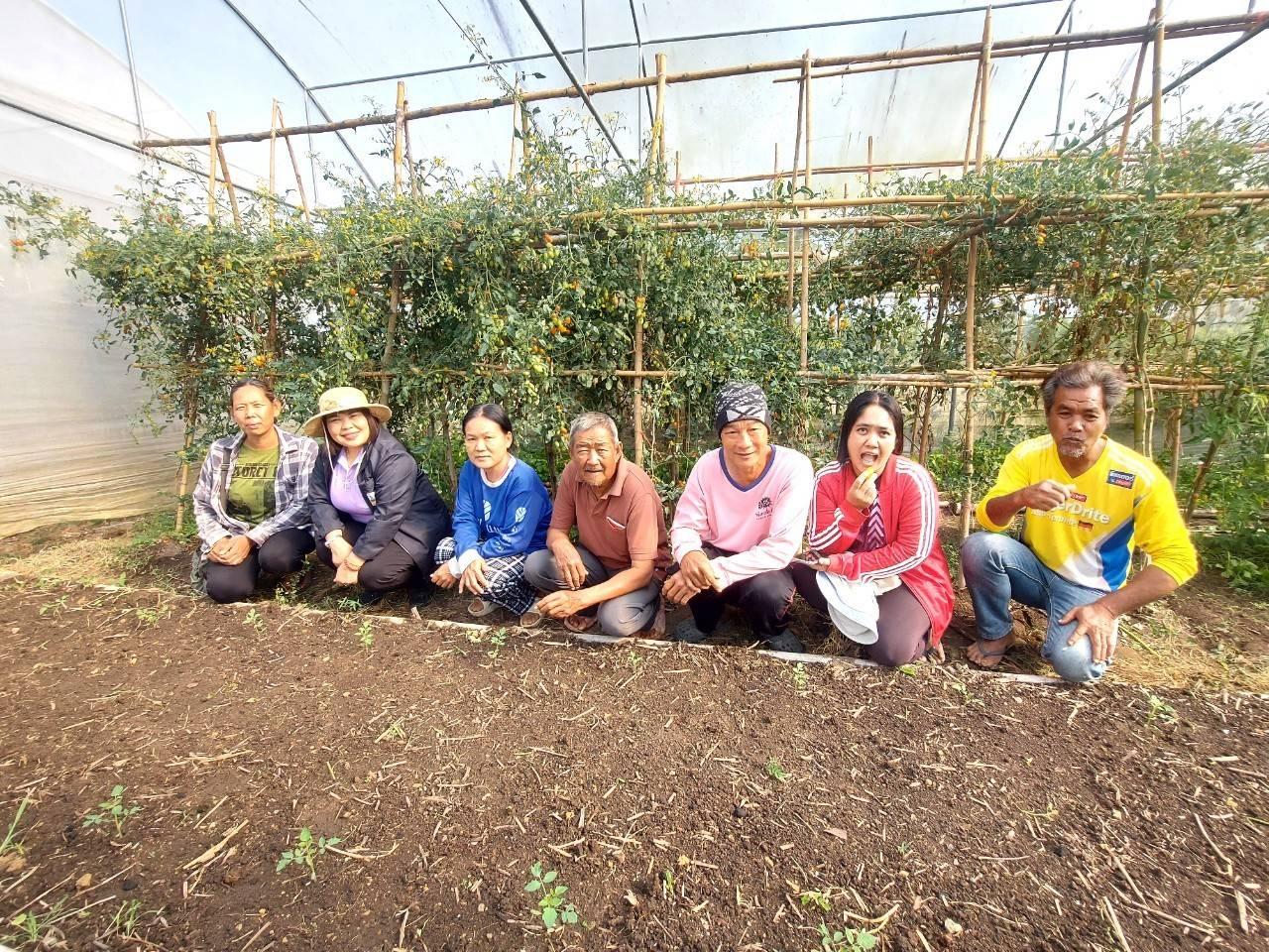 ภาพประกอบที่ 13