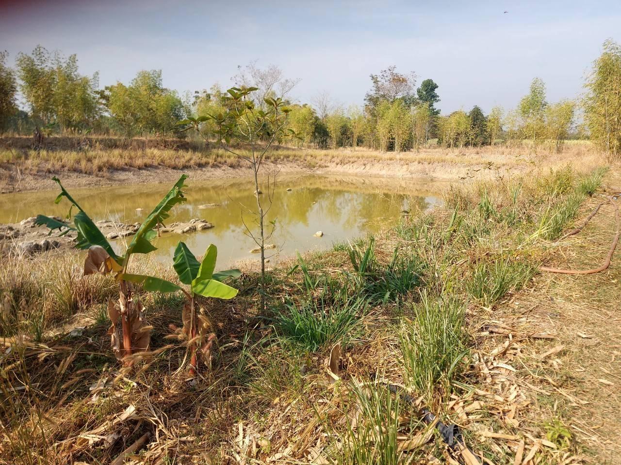 ภาพประกอบที่ 14