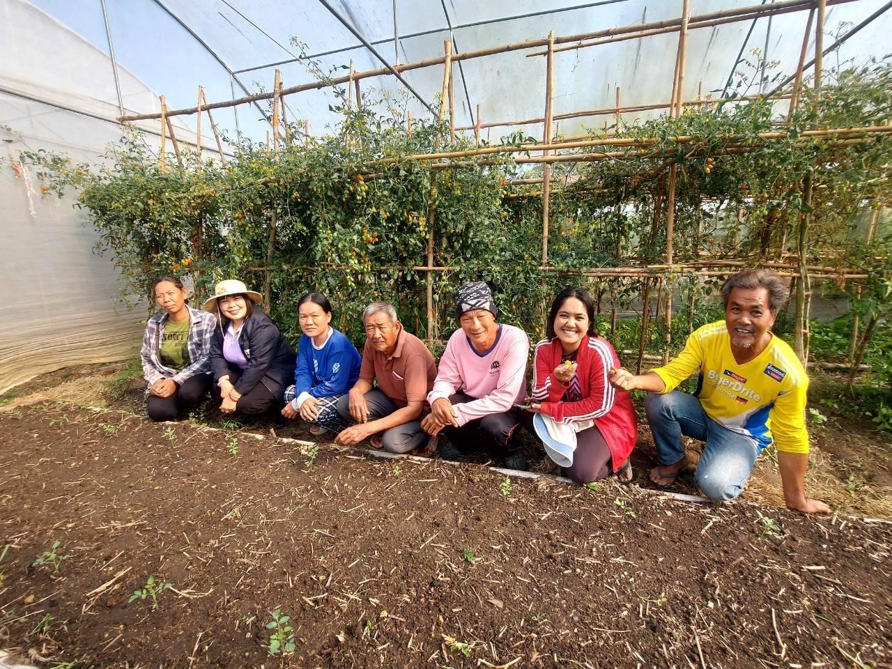 ภาพประกอบที่ 15