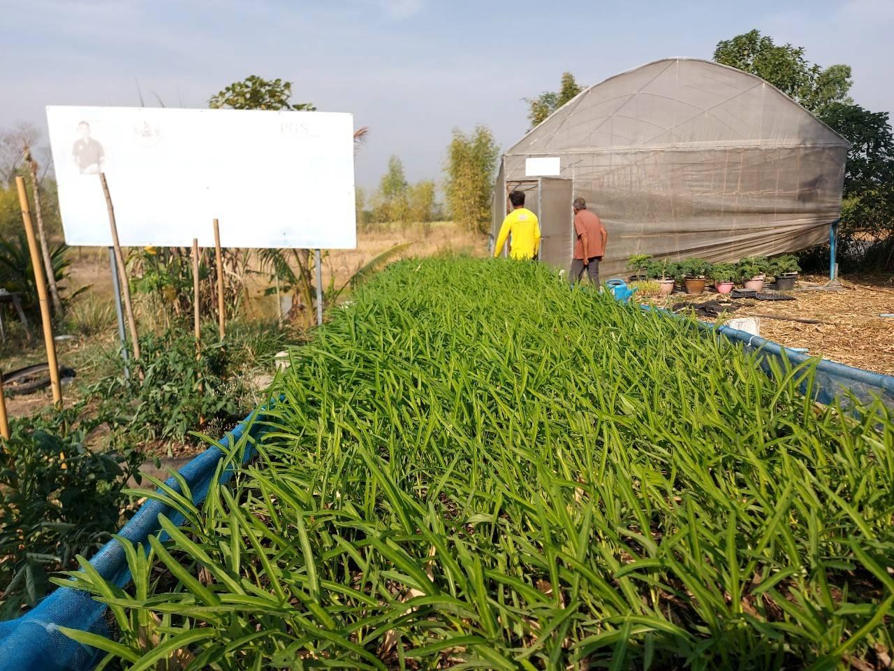 ภาพประกอบที่ 16