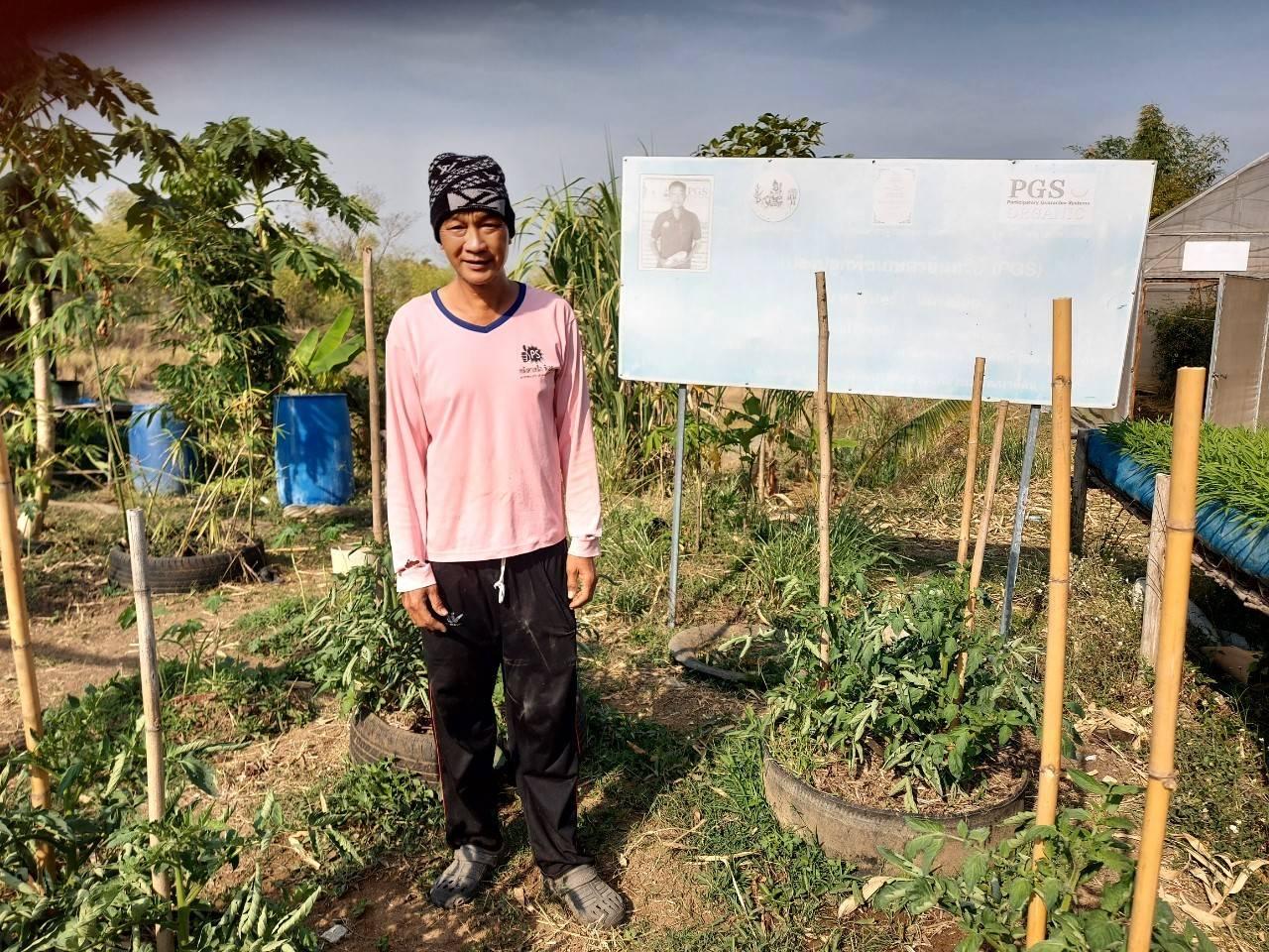 ภาพประกอบที่ 17