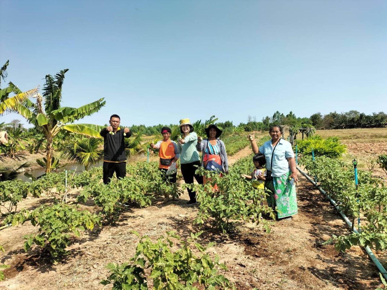 ภาพประกอบที่ 3