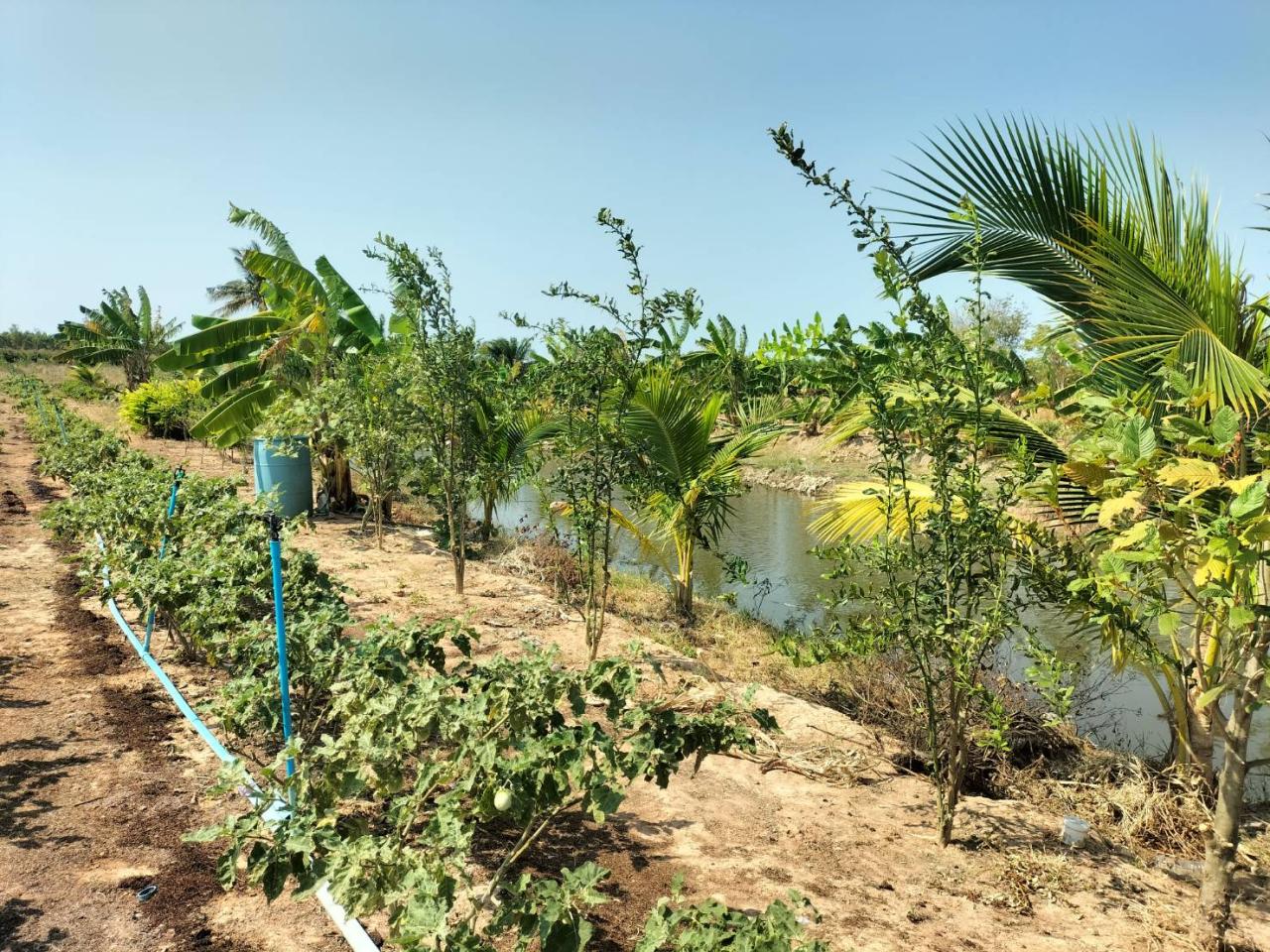 ภาพประกอบที่ 4