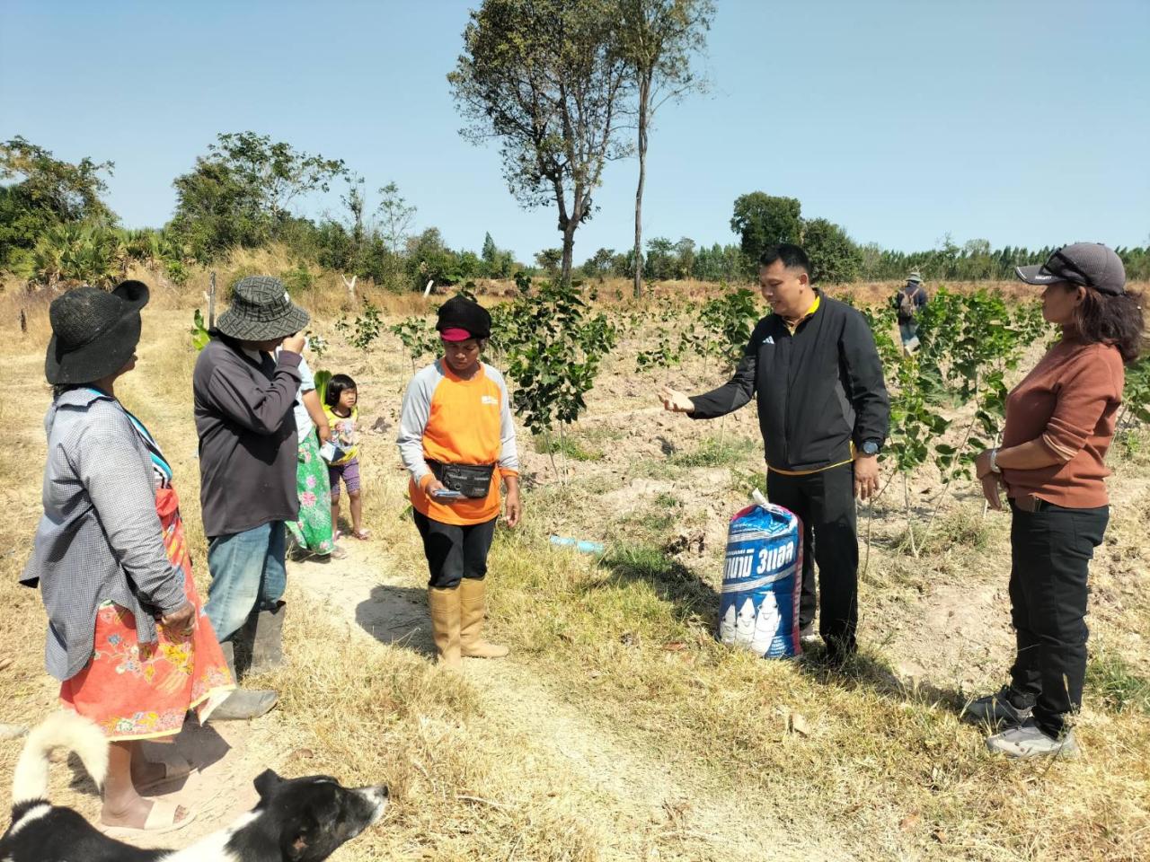 ภาพประกอบที่ 5