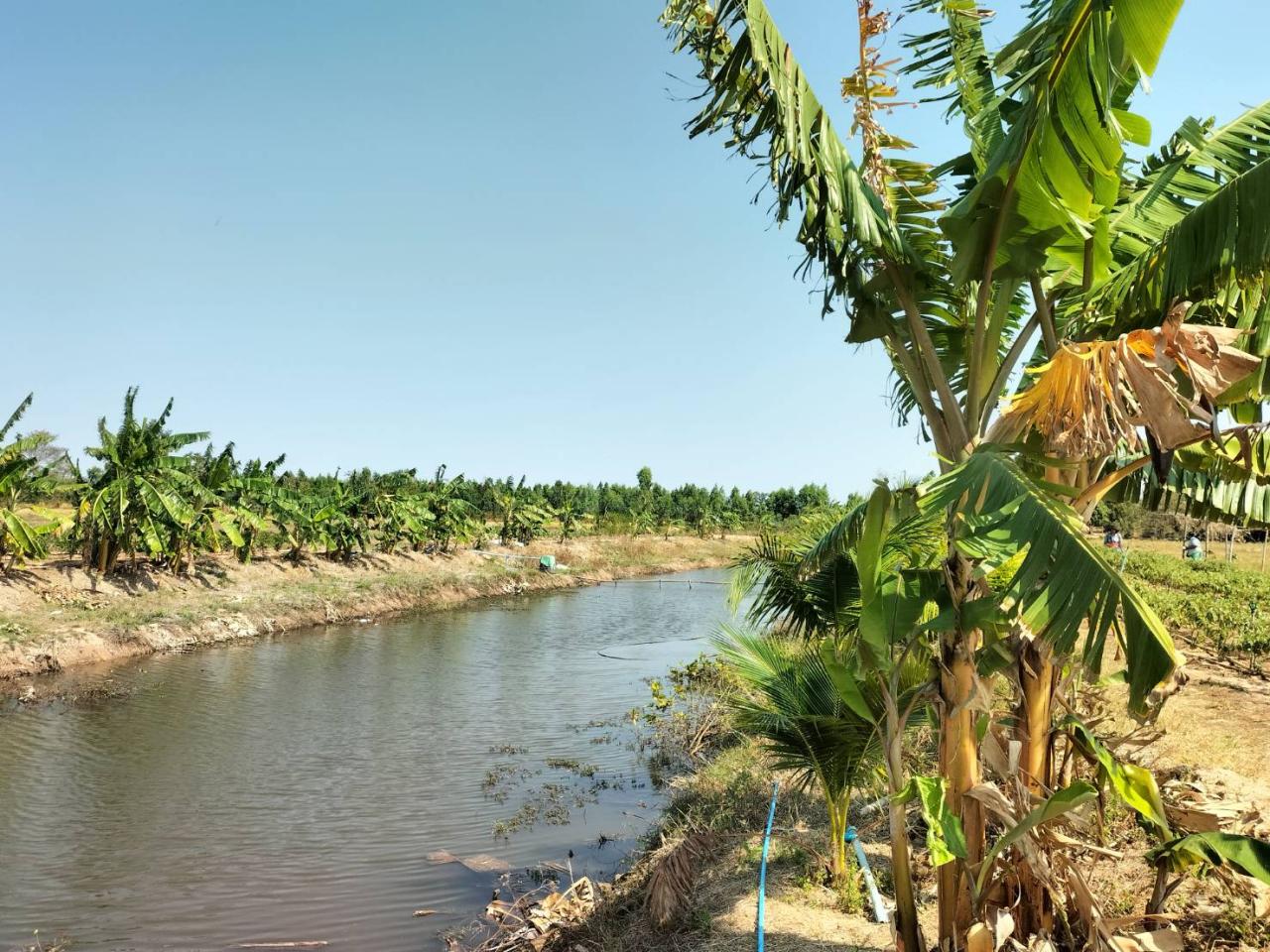 ภาพประกอบที่ 6