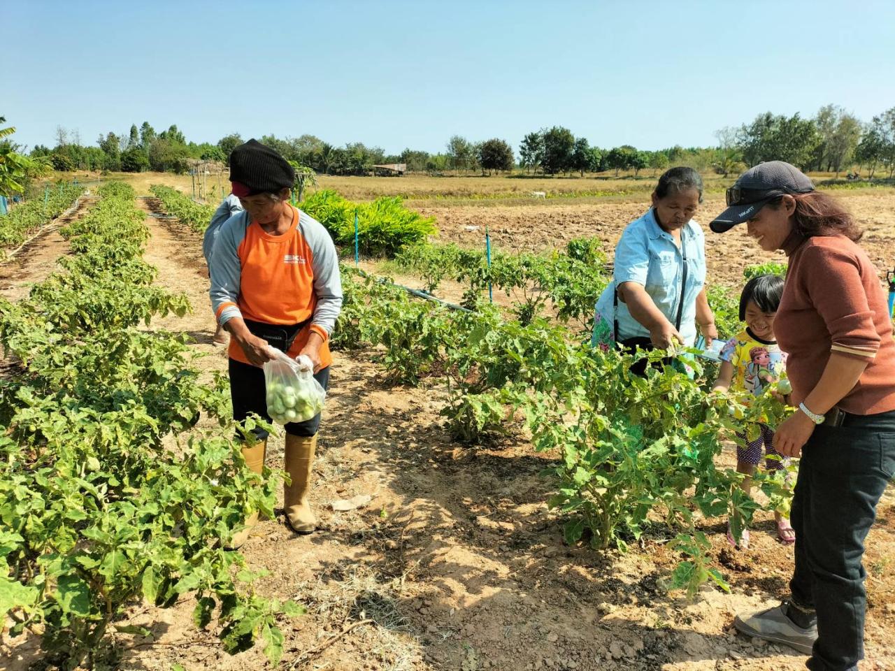 ภาพประกอบที่ 7