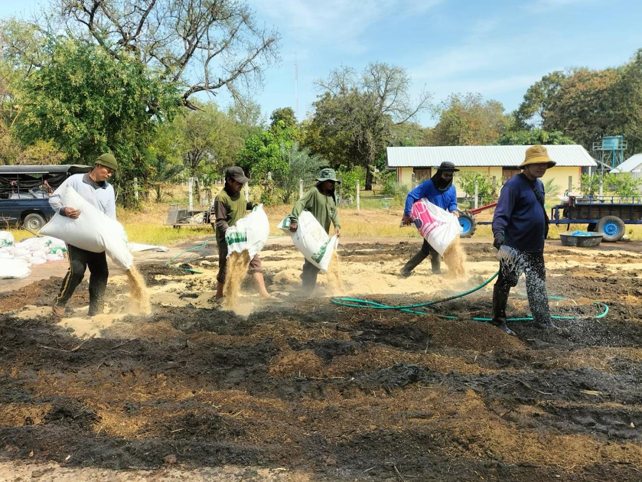 ภาพประกอบที่ 2