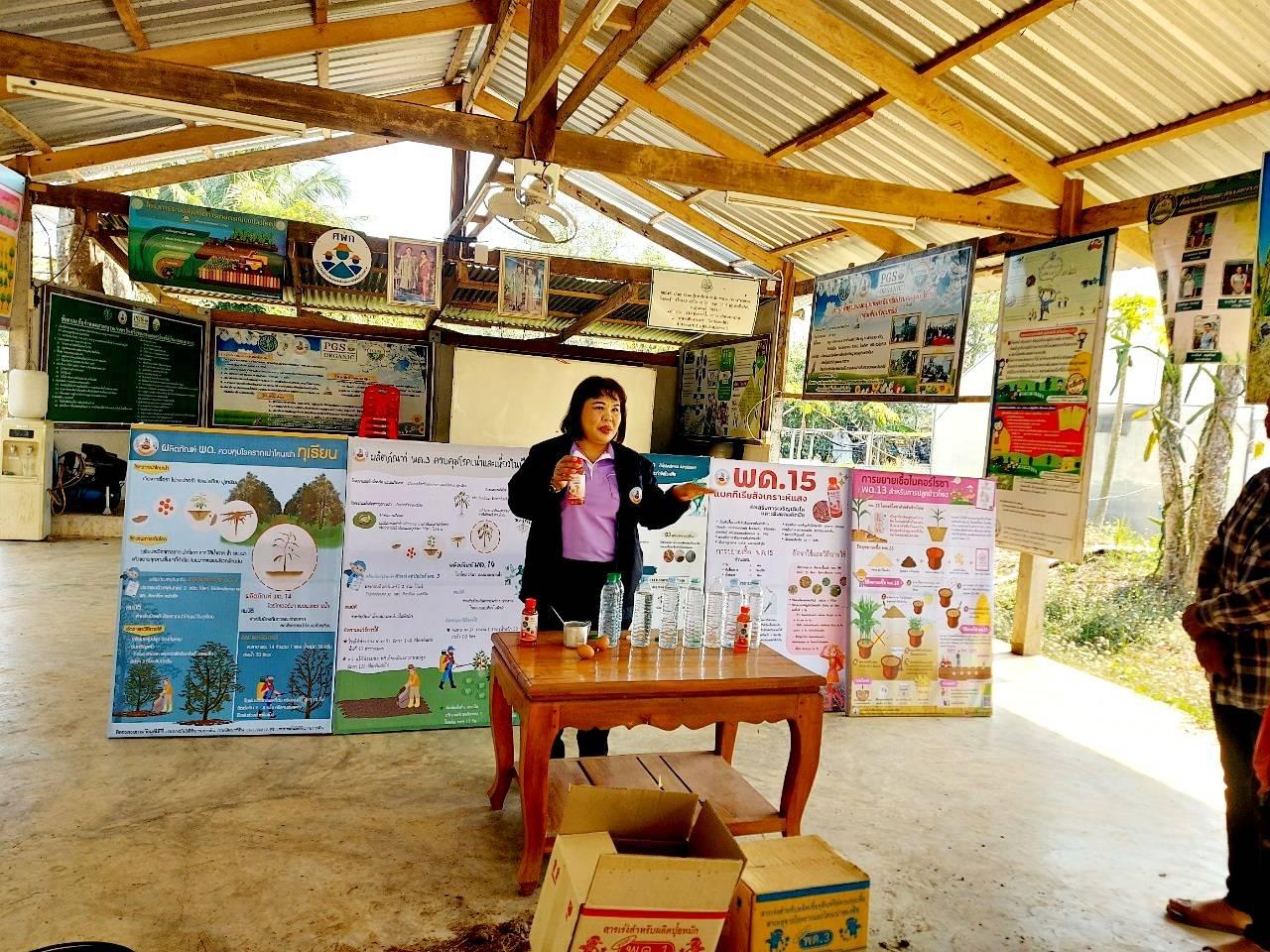 ภาพประกอบที่ 0