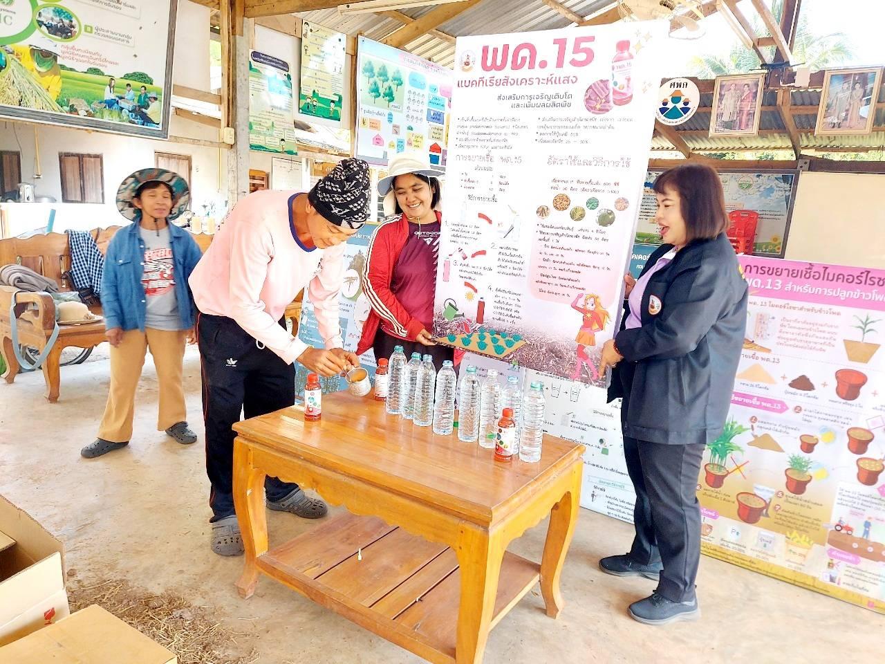 ภาพประกอบที่ 3