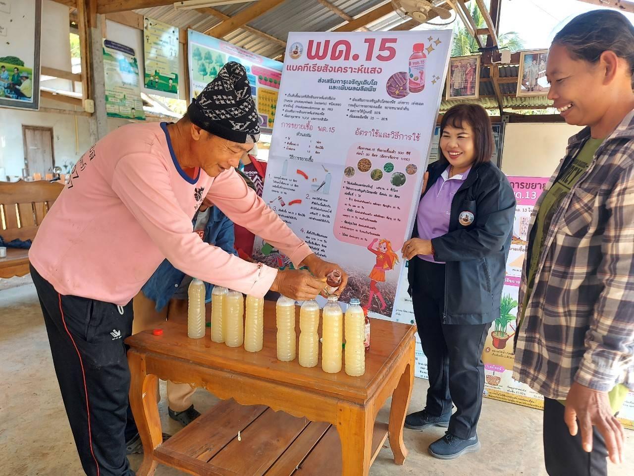 ภาพประกอบที่ 10