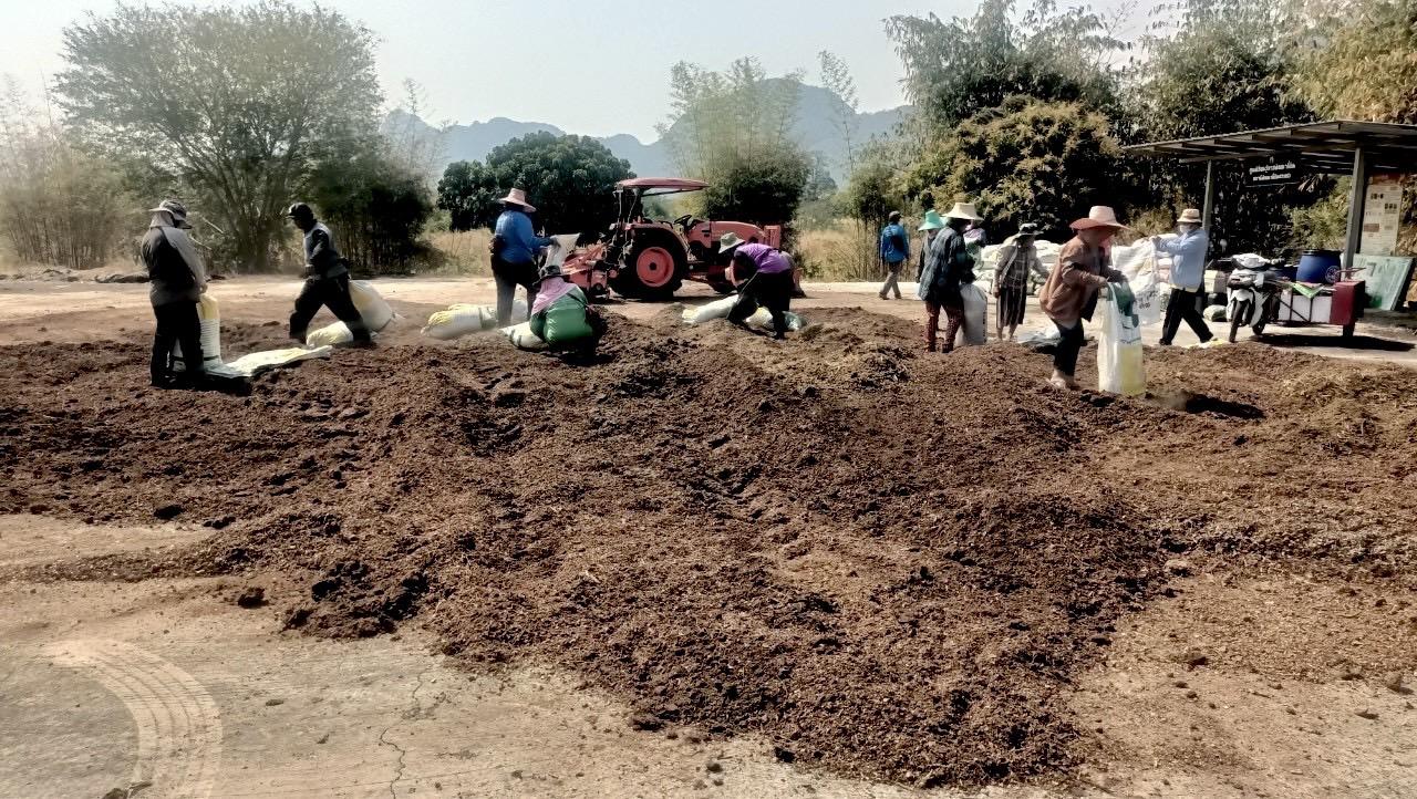 ภาพประกอบที่ 3