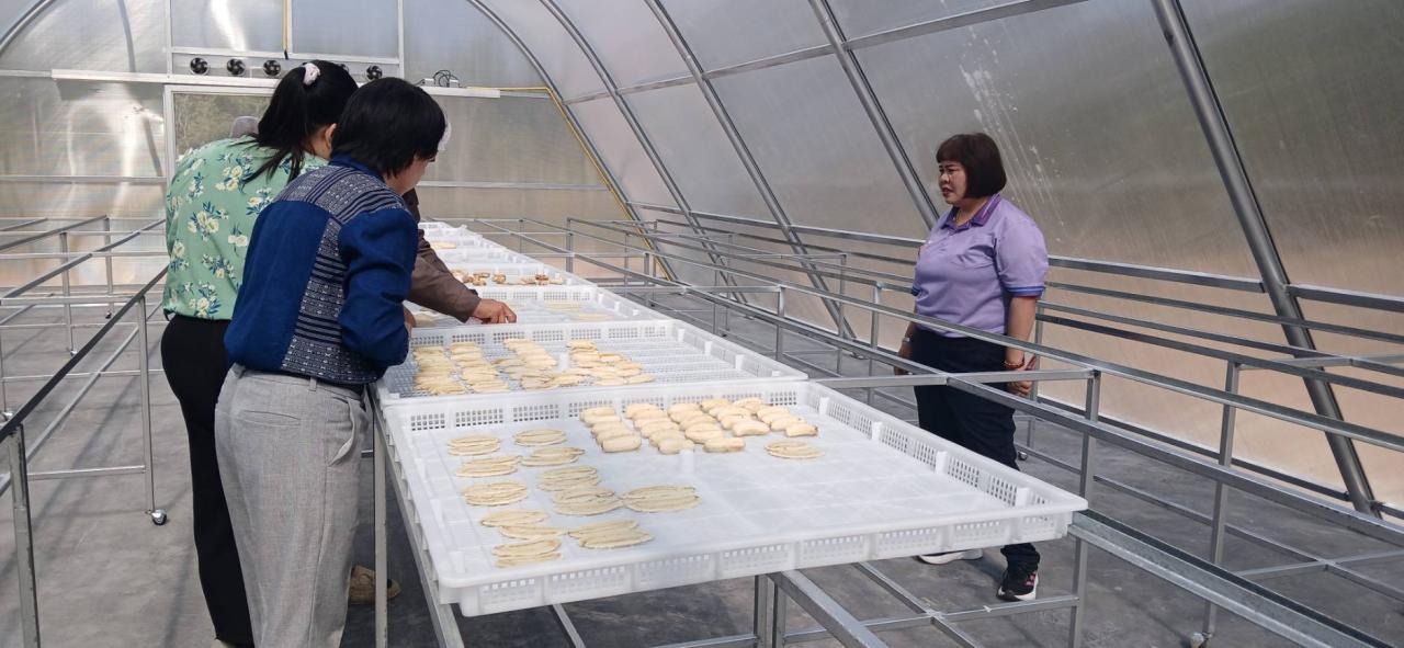 ภาพประกอบที่ 5