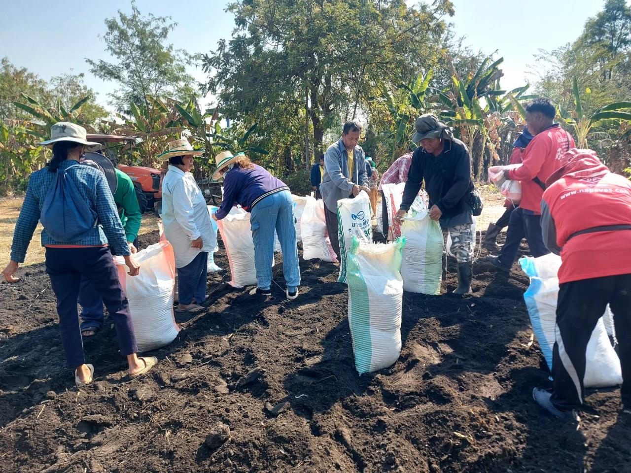 ภาพประกอบที่ 11