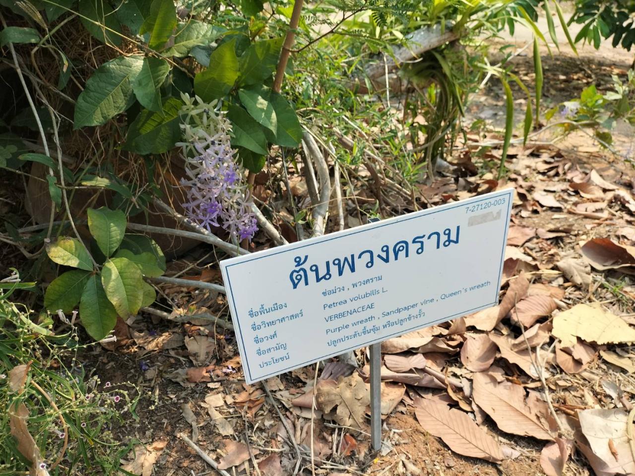 ภาพประกอบที่ 5