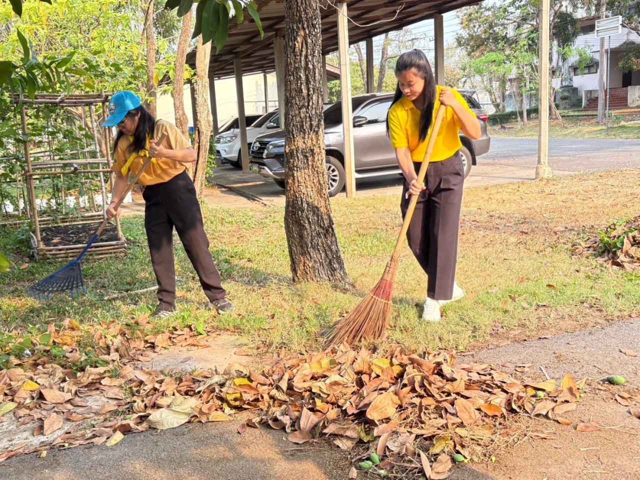 ภาพประกอบที่ 2