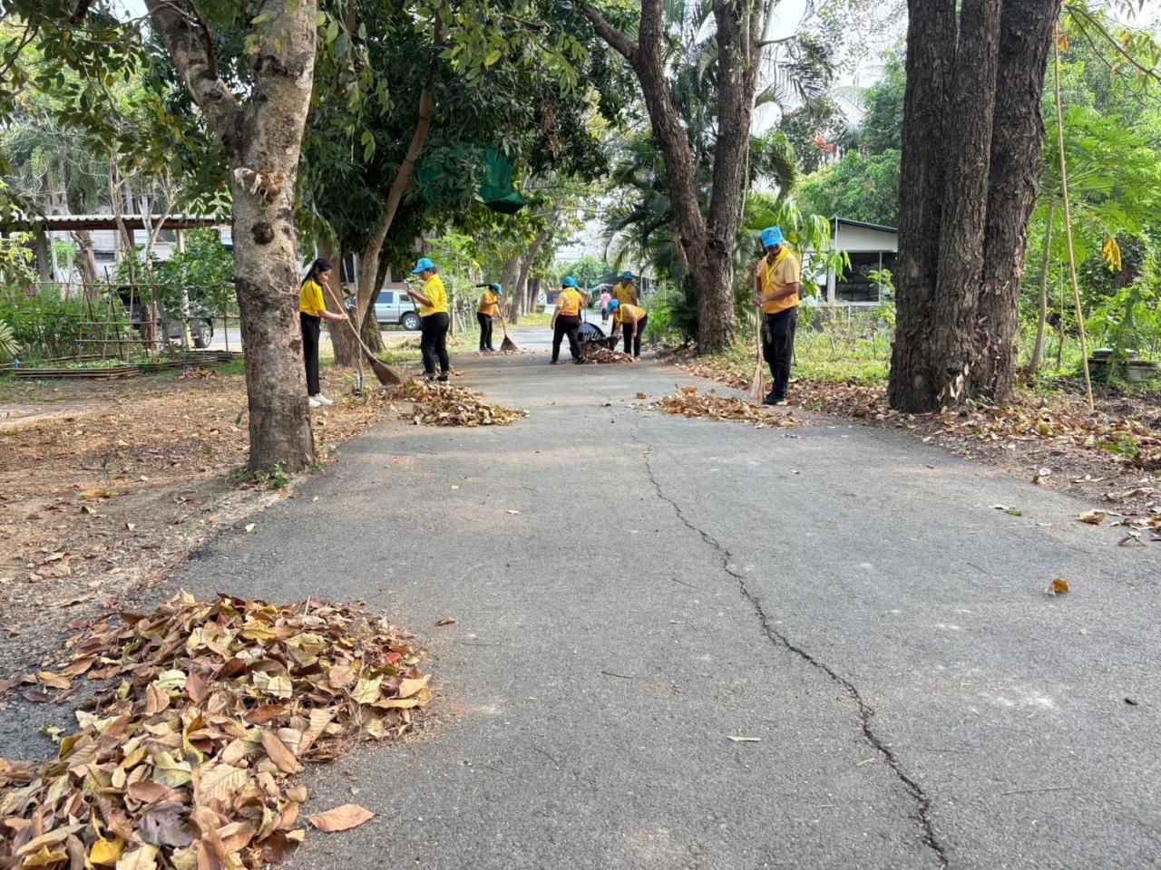 ภาพประกอบที่ 8