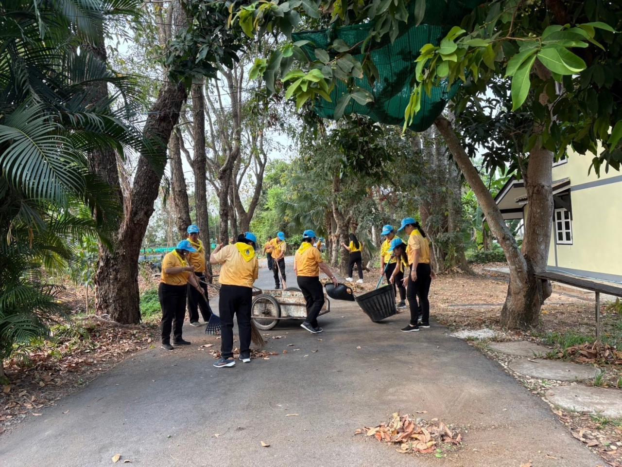 ภาพประกอบที่ 9