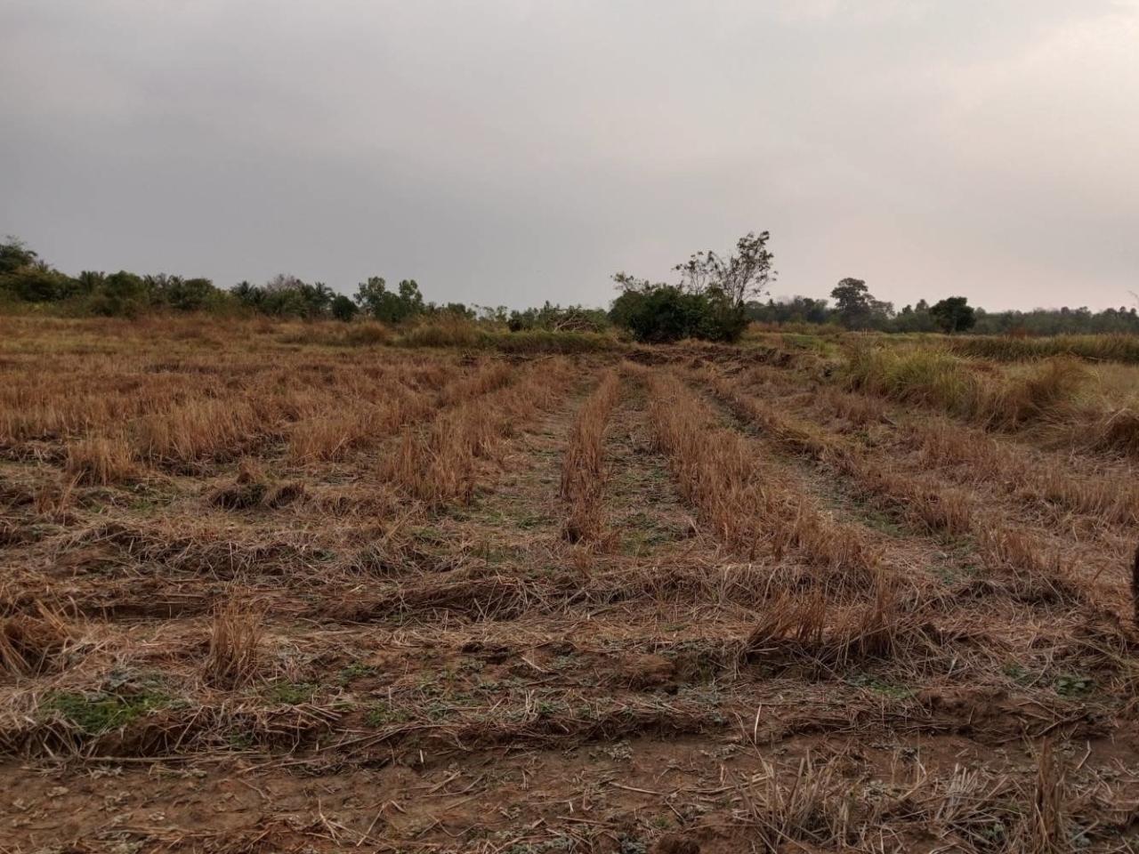 ภาพประกอบที่ 6