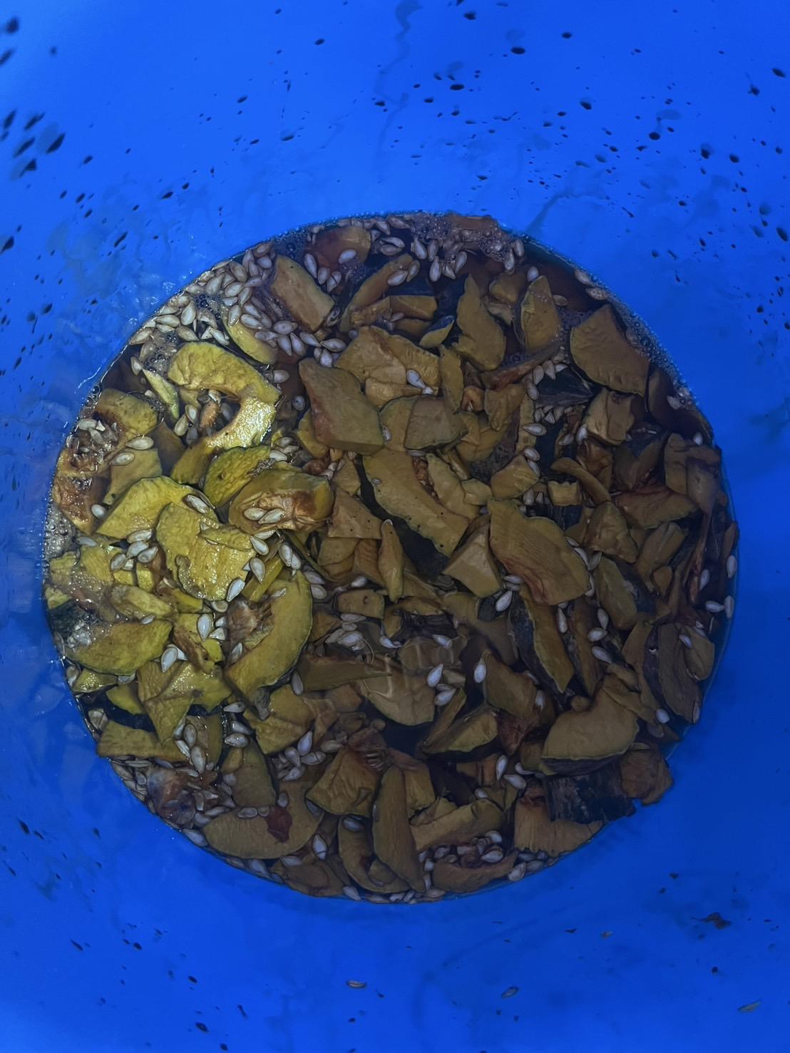 ภาพประกอบที่ 8