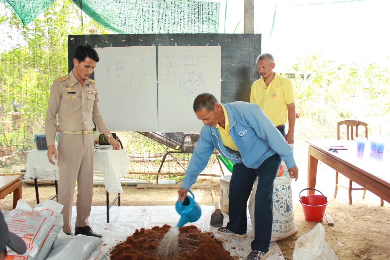 ภาพประกอบที่ 10