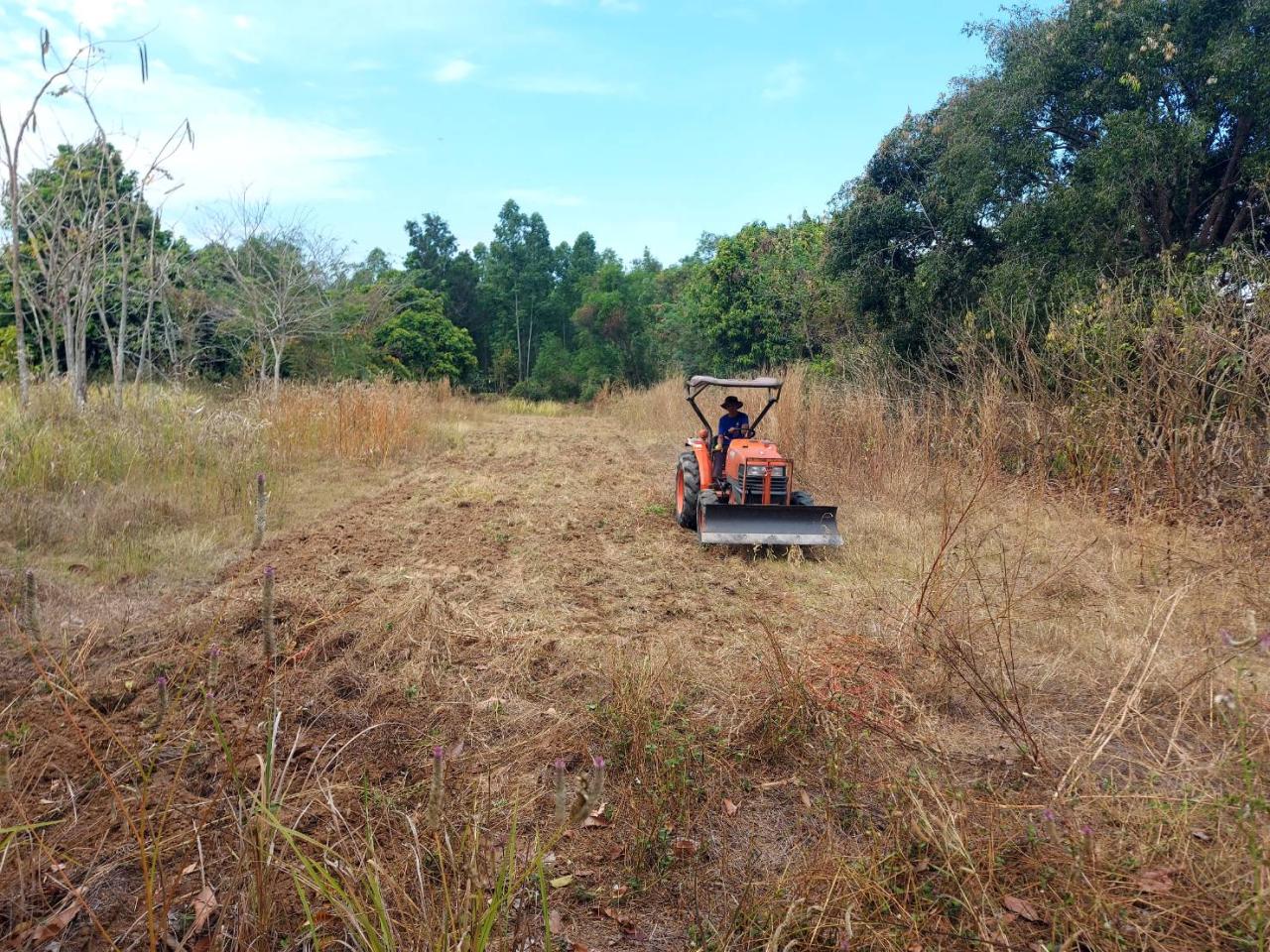 ภาพประกอบที่ 0