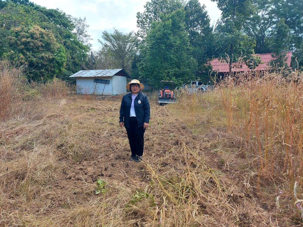 ภาพประกอบที่ 1