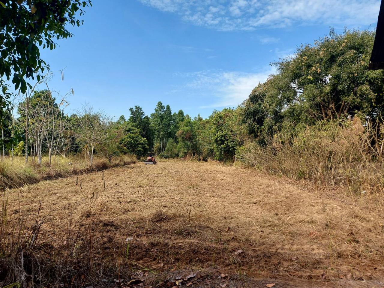 ภาพประกอบที่ 5