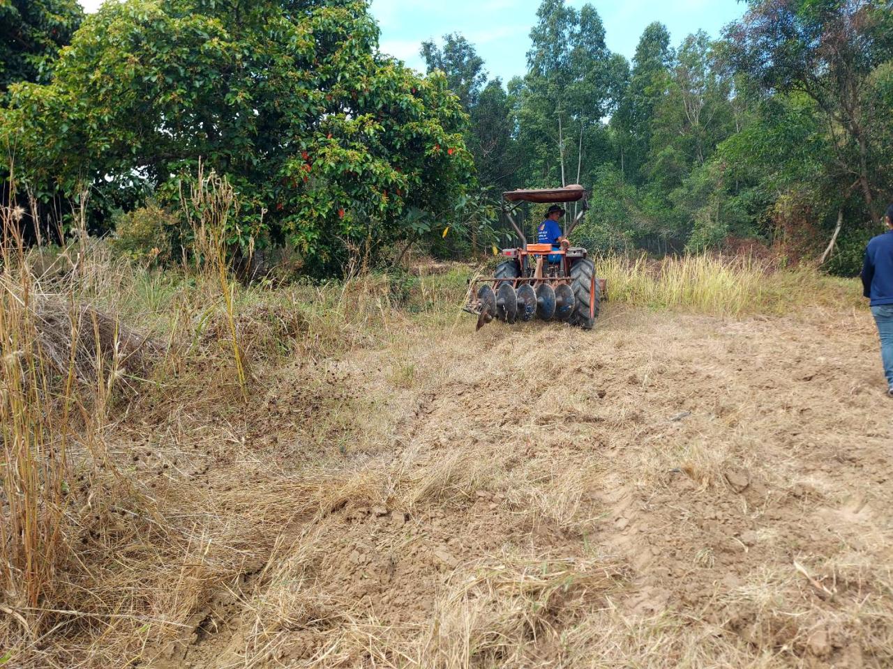 ภาพประกอบที่ 7