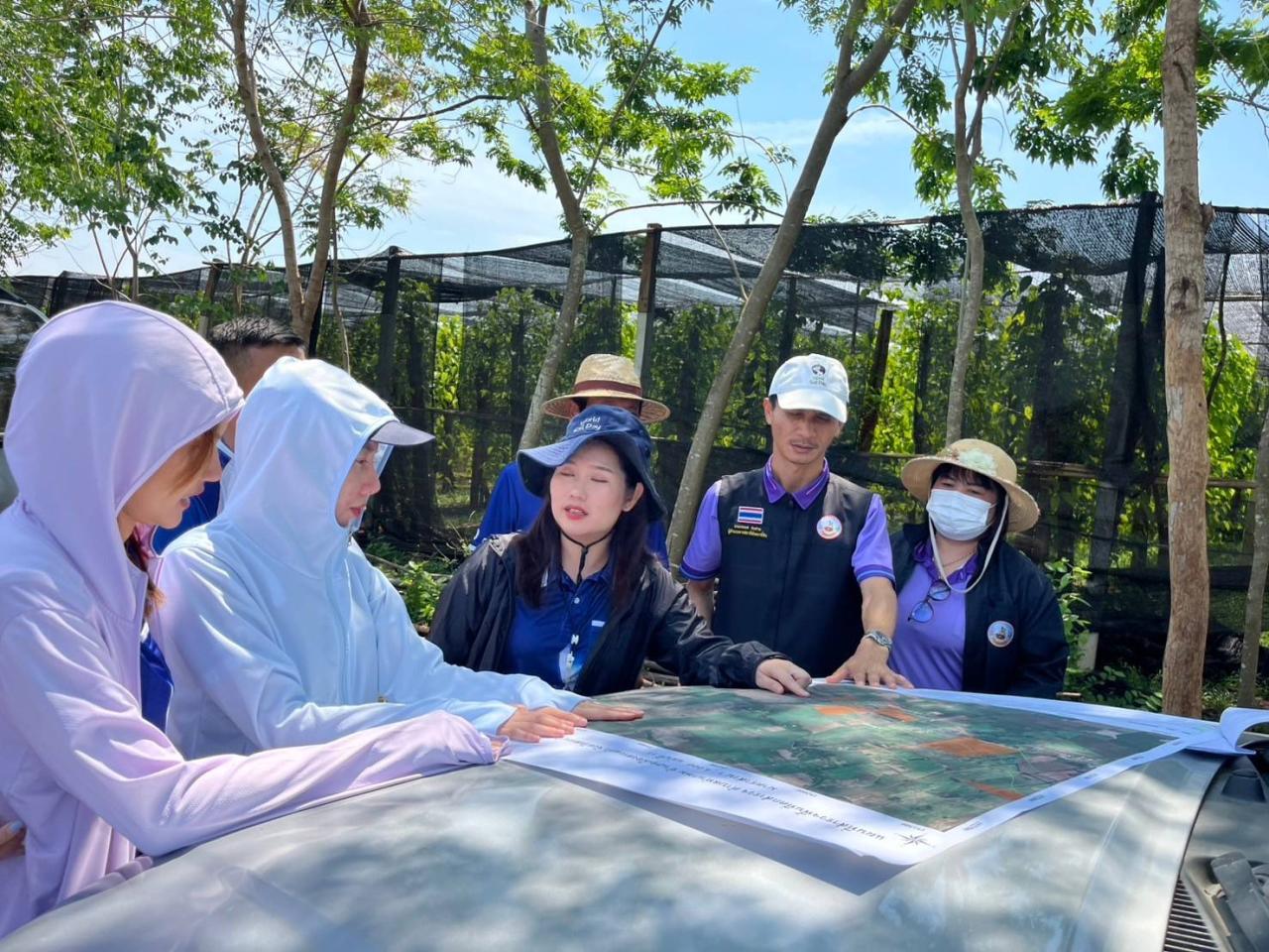 ภาพประกอบที่ 6