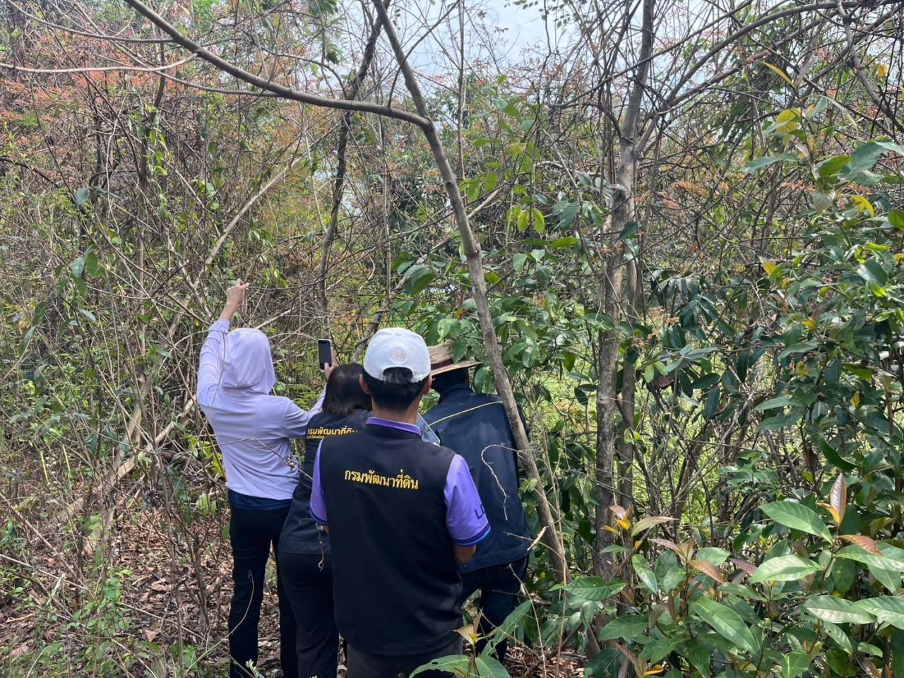 ภาพประกอบที่ 12