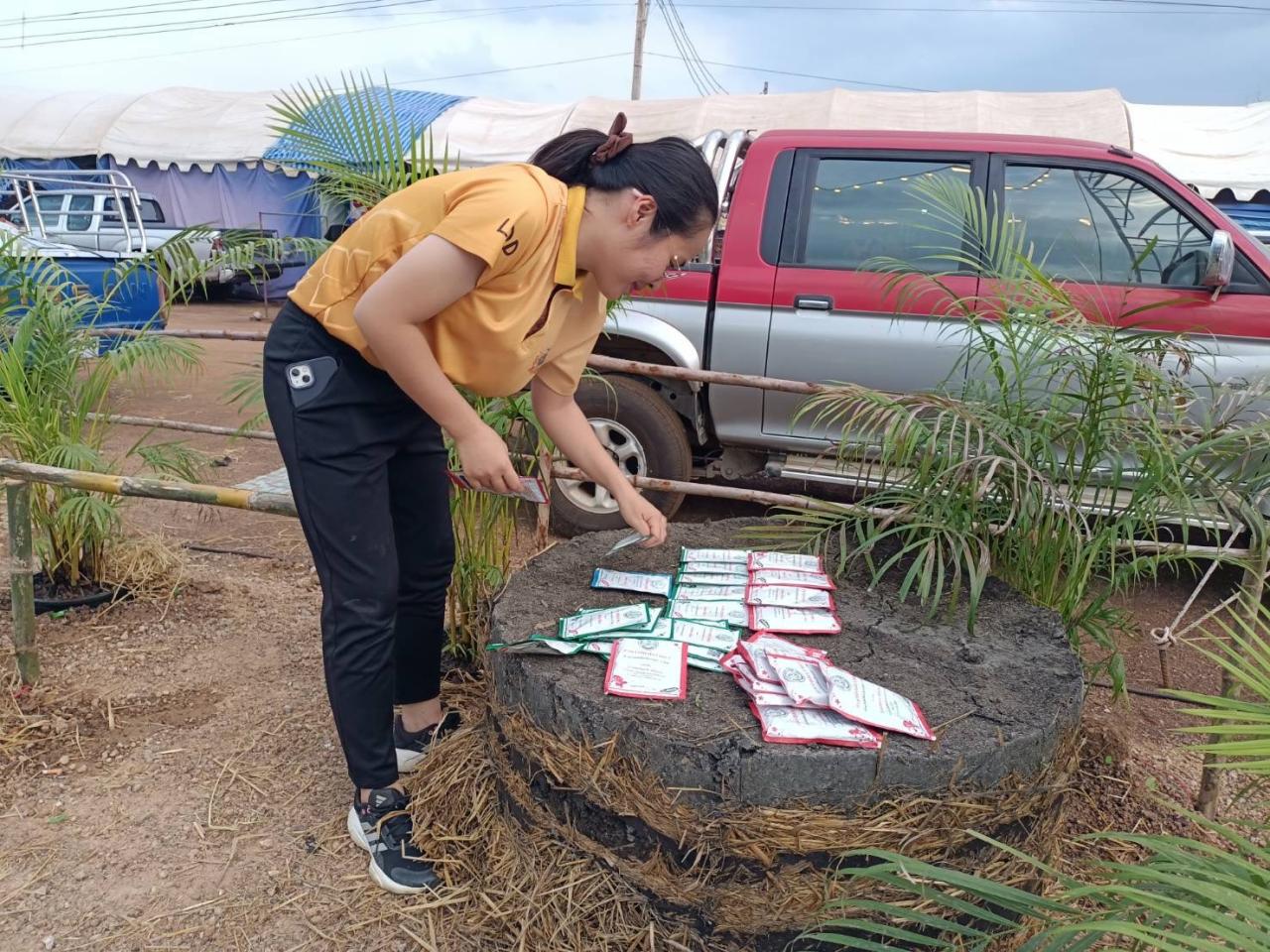 ภาพประกอบที่ 0