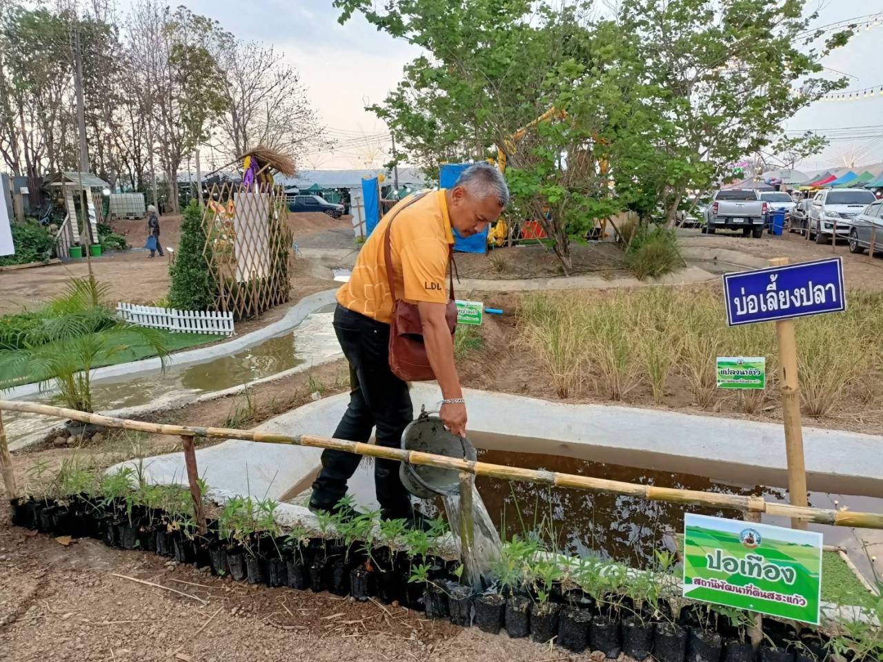 ภาพประกอบที่ 1