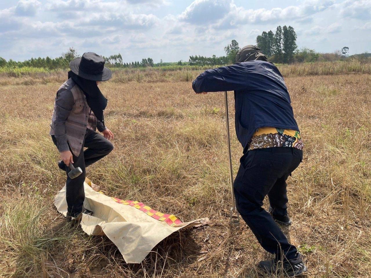 ภาพประกอบที่ 2