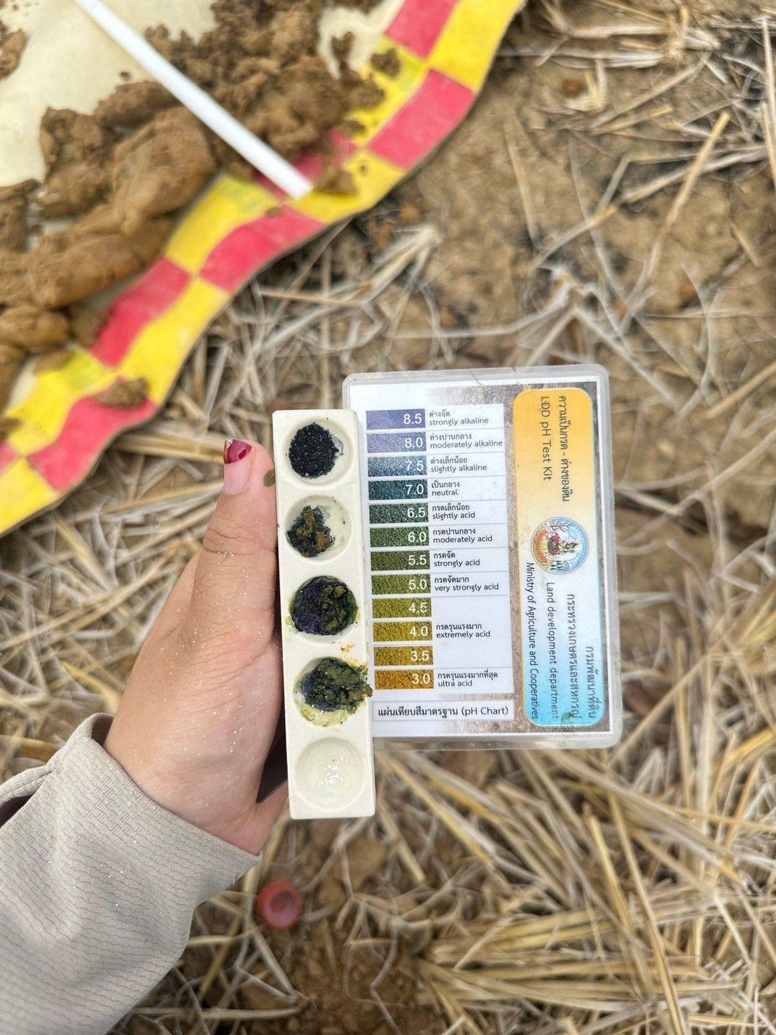 ภาพประกอบที่ 6