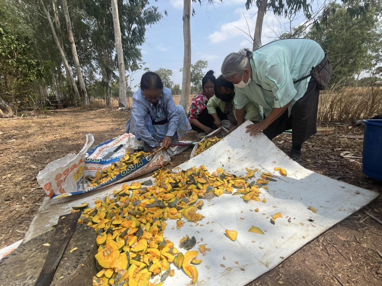 ภาพประกอบที่ 1
