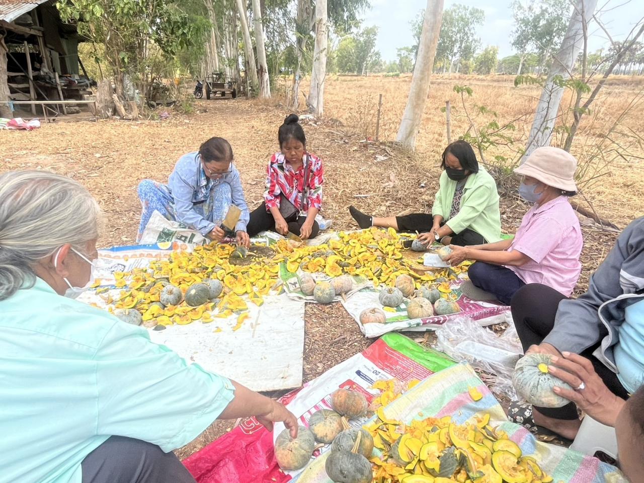 ภาพประกอบที่ 2