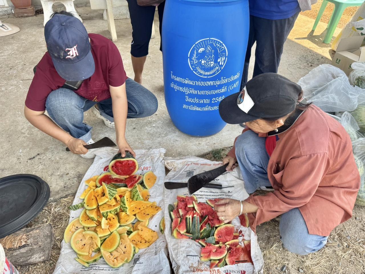 ภาพประกอบที่ 5