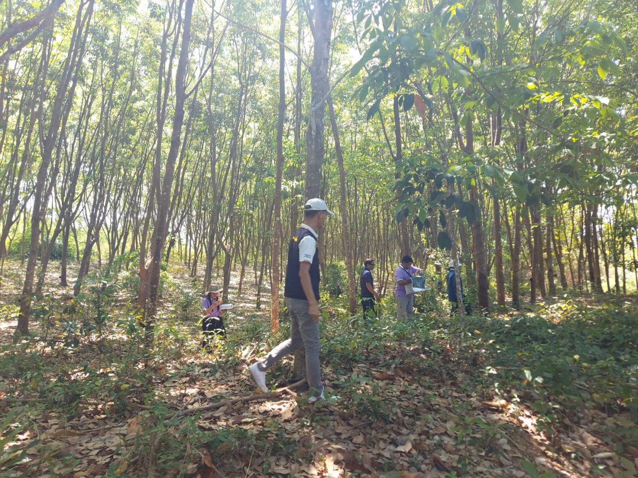 ภาพประกอบที่ 15