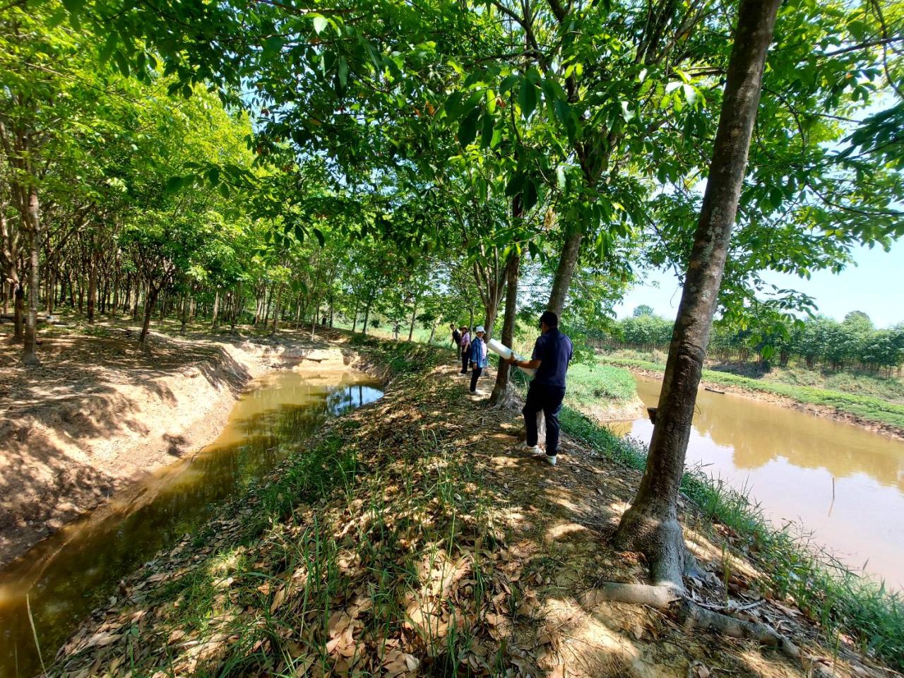 ภาพประกอบที่ 16