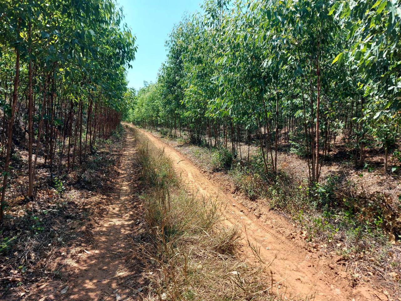 ภาพประกอบที่ 18