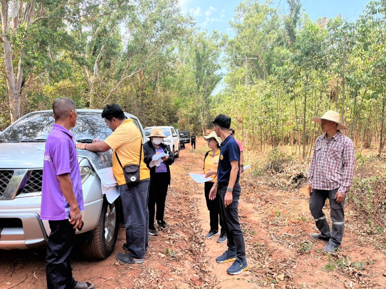 ภาพประกอบที่ 17