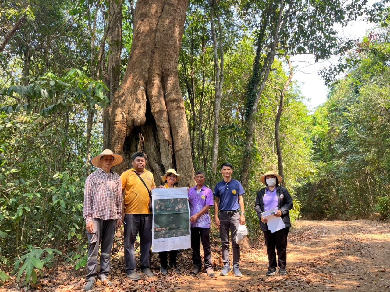 ภาพประกอบที่ 24